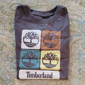 Timberland Kids Graphic Tee - Gray, Brown, Yellow, Blue
